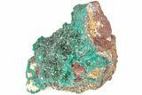 Forest Green Dioptase Crystal Cluster - N'tola Mine, Congo #209679-1